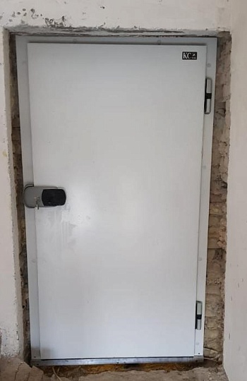 Распашные холодильные двери Фото №1